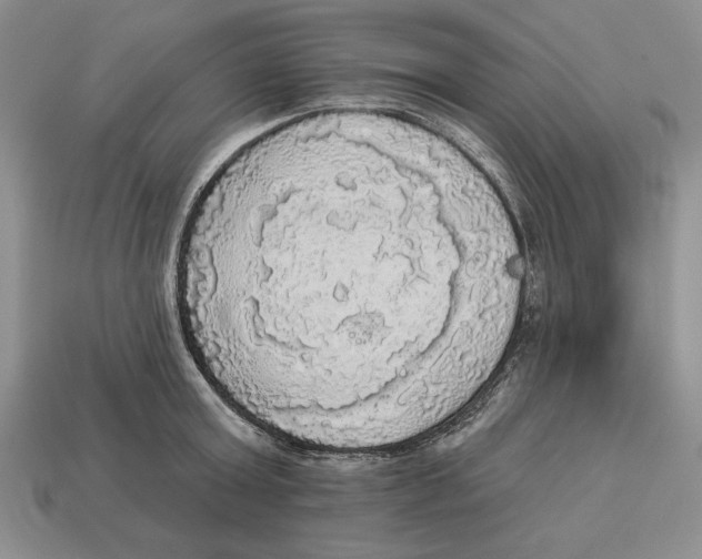 X0000112910803200909211030
