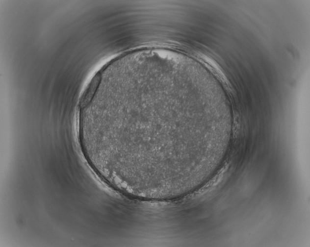 X0000112910804200909211030