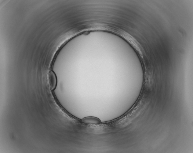 X0000112910805200909211030