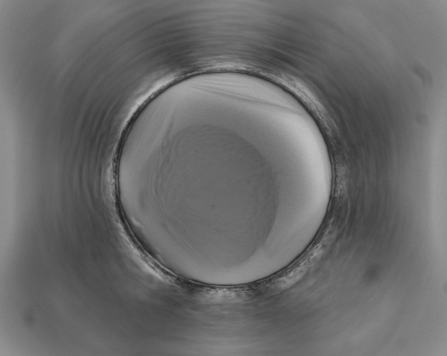 X0000112910806200909211030