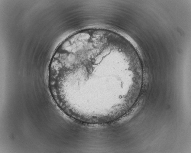 X0000112910807200909211030