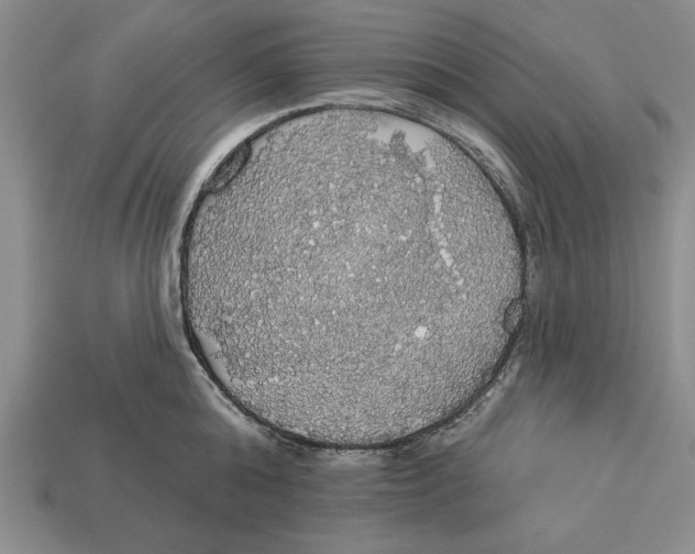 X0000112910808200909211030