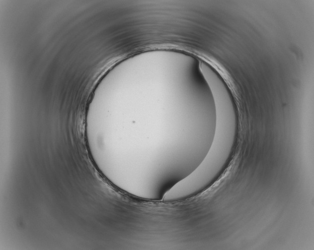 X0000112910809200909211030