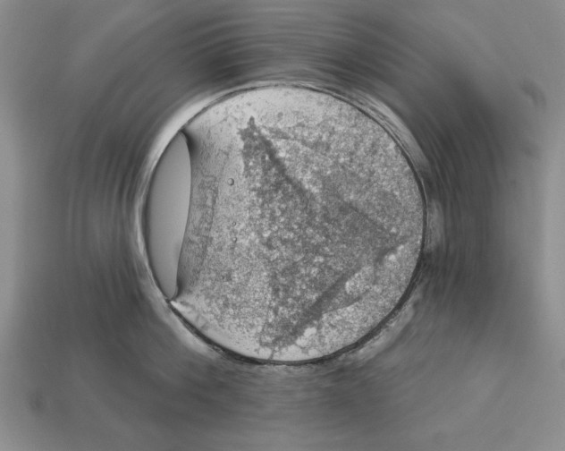 X0000112910812200909211030