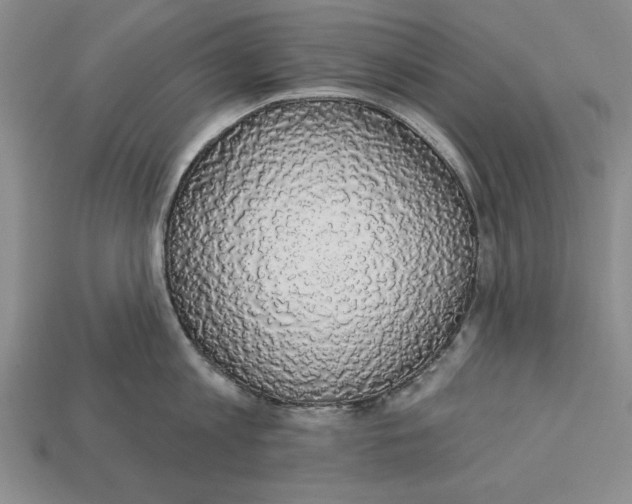 X0000112910813200909211030