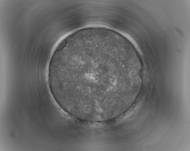 X0000112910815200909211030