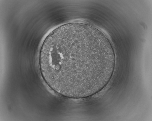 X0000112910816200909211030