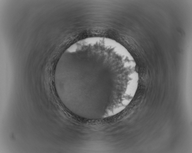 X0000112910817200909211029