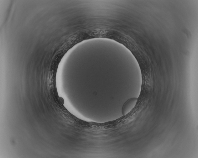 X0000112910818200909211029