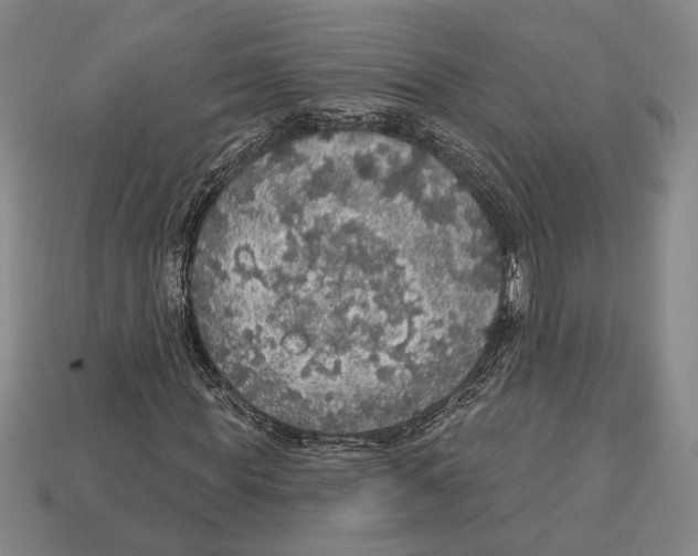 X0000112910819200909211029