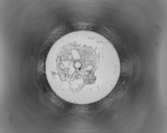 X0000112910820200909211029