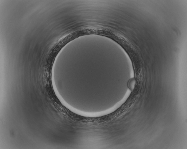 X0000112910822200909211029