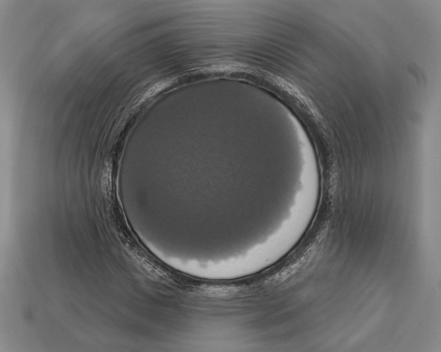 X0000112910825200909211029