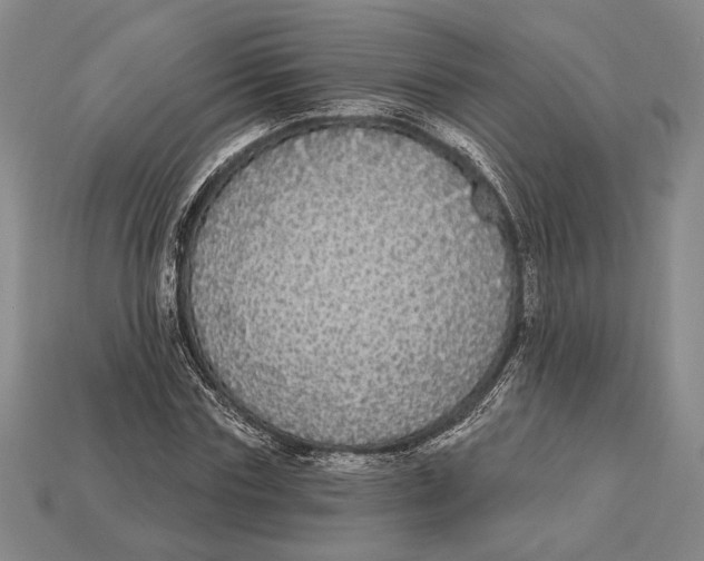 X0000112910827200909211029