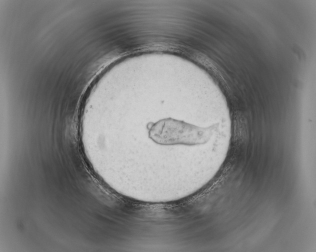 X0000112910828200909211029