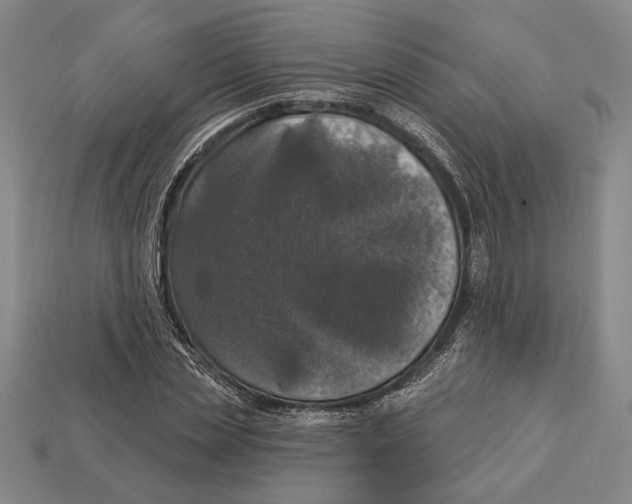 X0000112910829200909211029