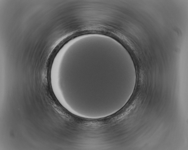 X0000112910830200909211029