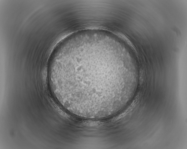 X0000112910831200909211029