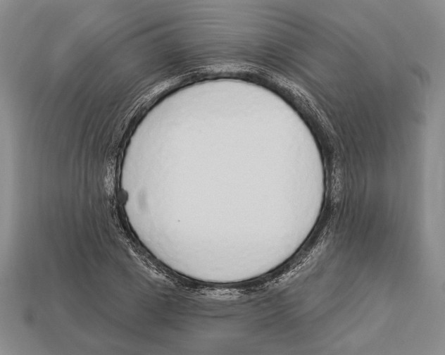 X0000112910833200909211029