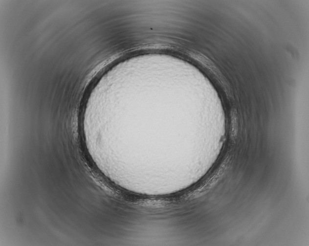 X0000112910834200909211029