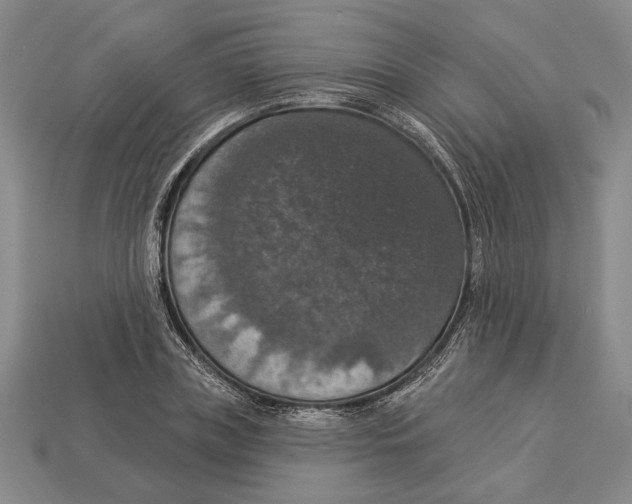 X0000112910835200909211029