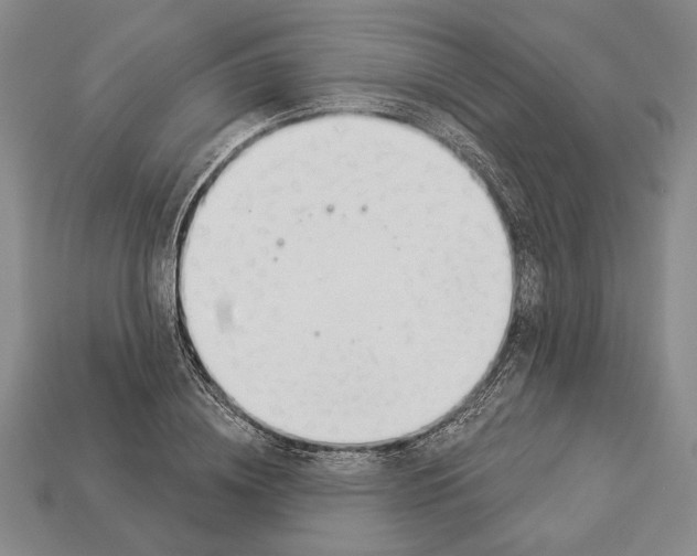 X0000112910836200909211029