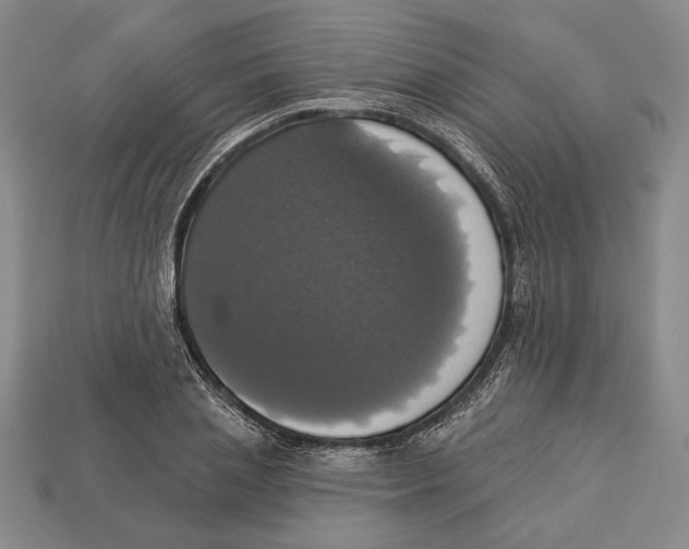 X0000112910837200909211029