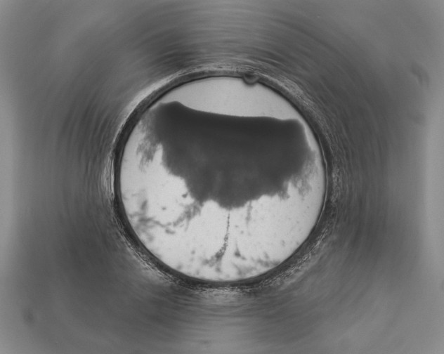 X0000112910838200909211029