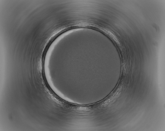 X0000112910839200909211029