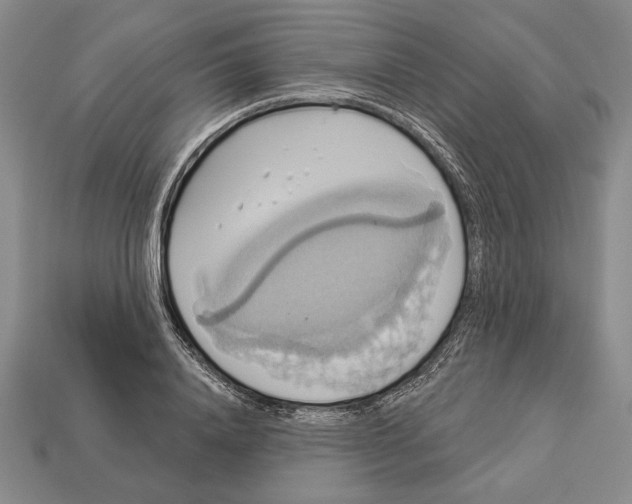 X0000112910840200909211029