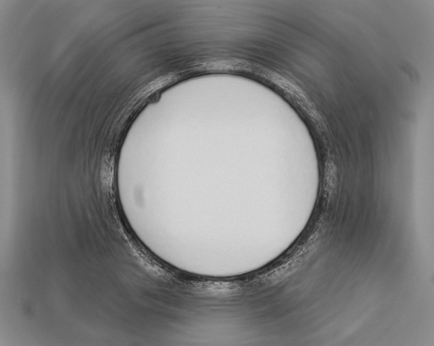 X0000112910841200909211029