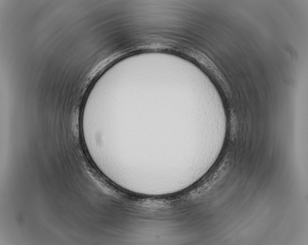 X0000112910842200909211029