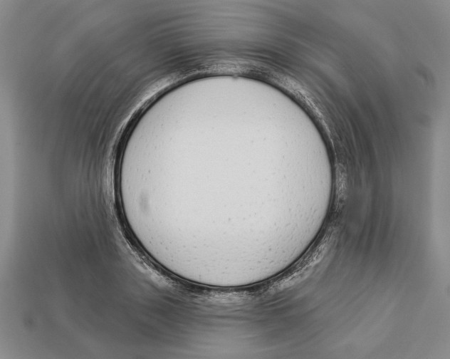 X0000112910843200909211029