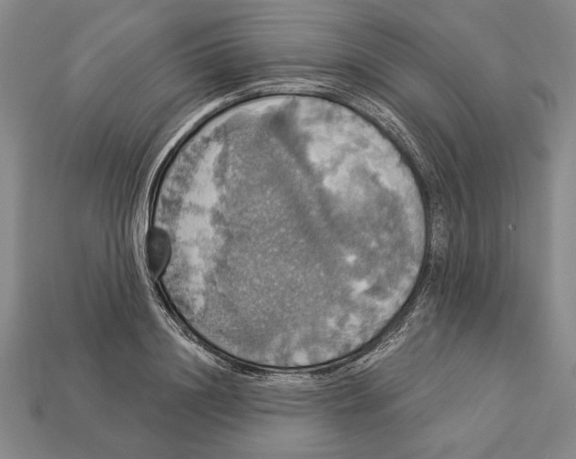 X0000112910844200909211029