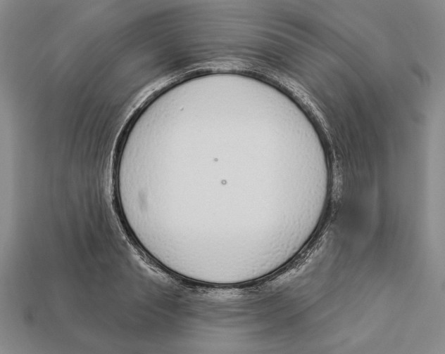 X0000112910845200909211029