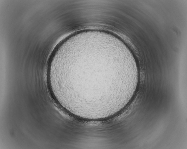 X0000112910846200909211029