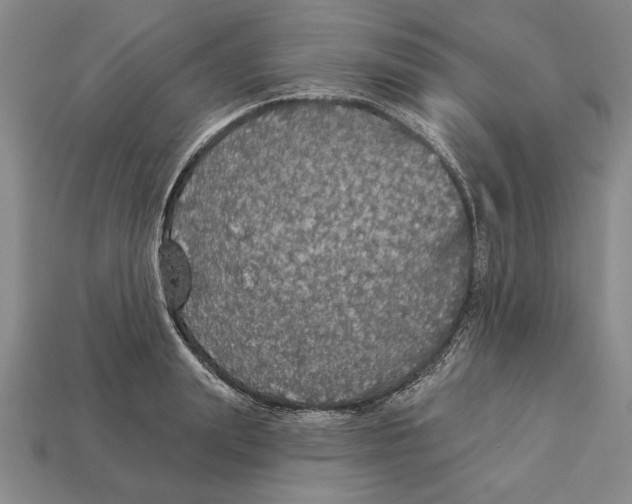 X0000112910847200909211029