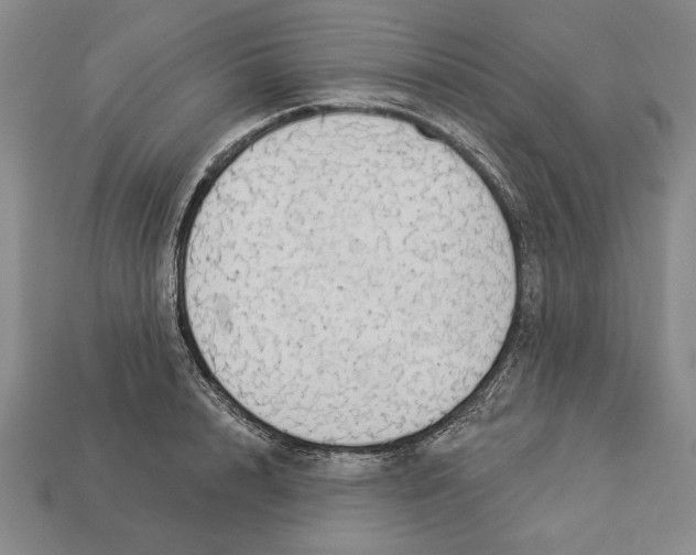 X0000112910848200909211029