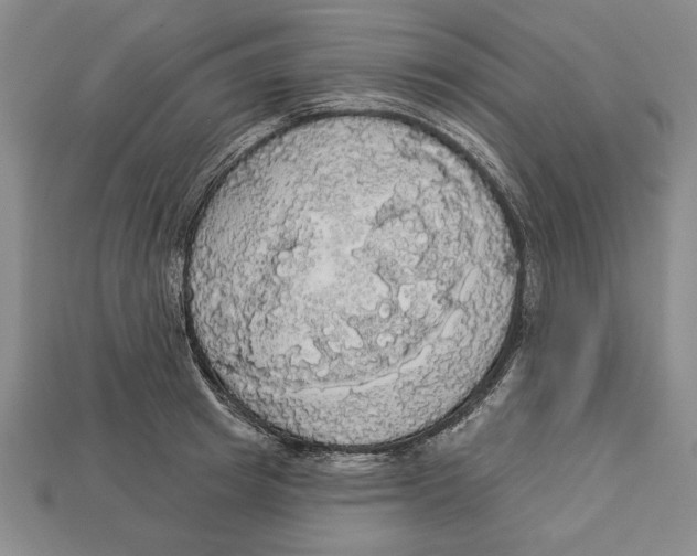 X0000112910849200909211029