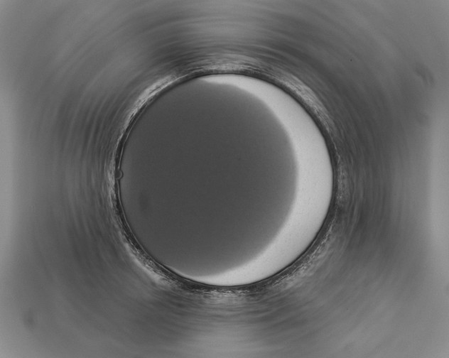 X0000112910850200909211029