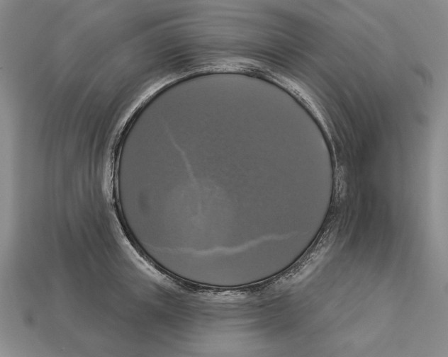 X0000112910851200909211029