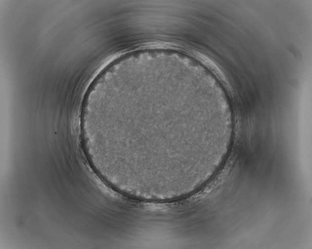 X0000112910852200909211029