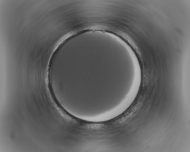 X0000112910853200909211029