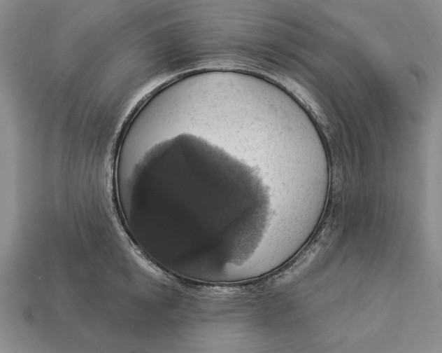 X0000112910854200909211029