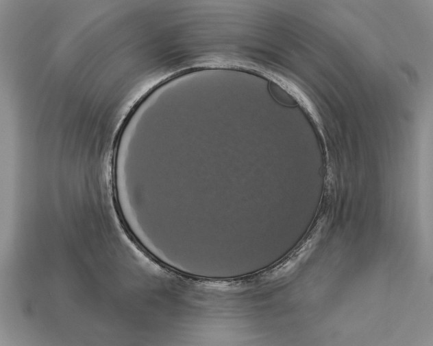 X0000112910855200909211030