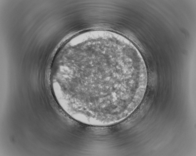 X0000112910856200909211030