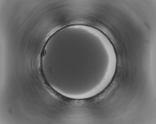 X0000112910858200909211030