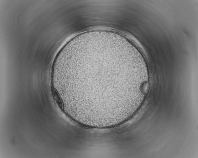 X0000112910860200909211030