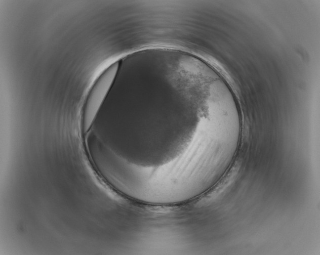 X0000112910862200909211030