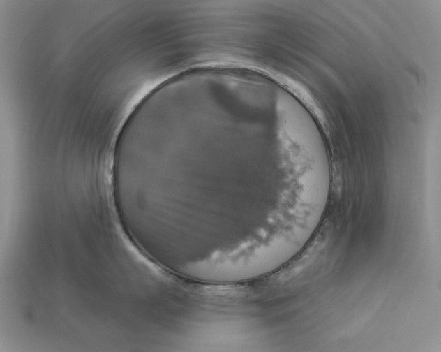 X0000112910863200909211030